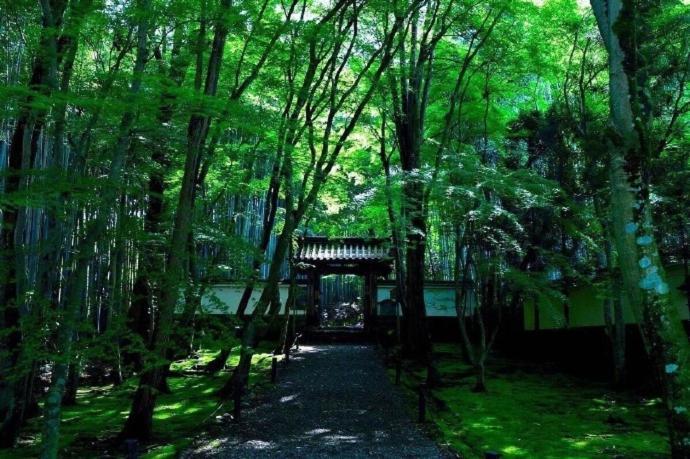 Kyoto-Toji House Aparthotel Ngoại thất bức ảnh